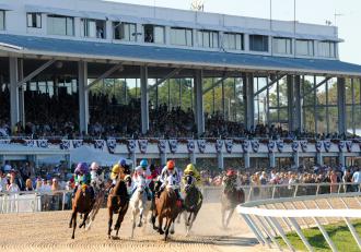 Tampa Bay Downs: Simulcast bettors have helped make track a major